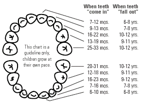 Baby Teeth - Hi there Juliansmom....I had the same issue for my daughter, I had taken her to the dentist when they asked me the question does she grind her teeth. They told me that she did it so much that the ridges on the back were gone. They suggested for me to buy her a mouth guard for night time so if she went to grind she would not affect her teeth, For you I would just call your dentist and just let them know and see what they can recommend for you to try to get him to stop. I wouldn&#039;t worry to to much only because these are baby teeth but I&#039;m sure you don&#039;t want him in the habit of doing it either.
I wish you all the best and Please keep me updated
Take care 
