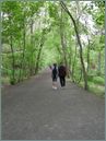 couple dating - a picture of couple hiking in the forest together, holding hands..