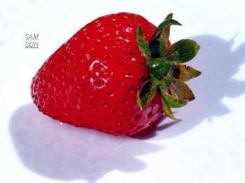 Strawberry - The riped strawberries