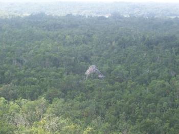 view from a pyramid in mexico - This is on top of a pyramid we climbed in Mexico and this was the view