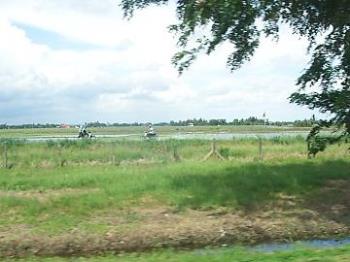 Field - A field along the road.