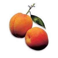 apricot - my favourite fruits!!