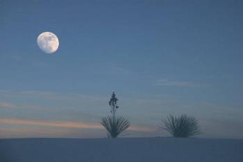 moon - moon and sea