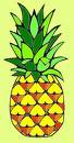 PINING FOR PINEAPPLE - Pineapple a symbol of hospitality.
