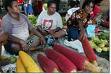 red fruit (buah merah)  - red fruit (buah merah) from papua