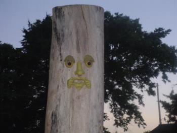 tree face - This face is on a tree stump that was created at a boy scout camp. the tree was dieing and all the dead was cleaned off and a wonderful tall stump was left. One day it will become a totem pole.