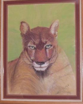 Florida Panther - This was done several years ago for a dear friend.