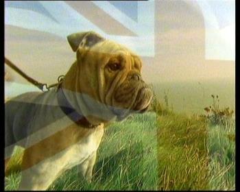 British Bulldog - British Bulldog & Union Flag British Bulldog - British Bulldog & Union Flag