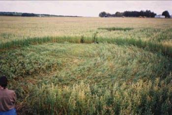 Crop circles - amazing crop circles