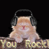 You Rock - rocking cat animated