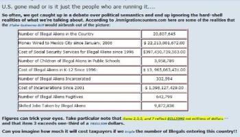 Illegal Aliens - Chart Describing the True Cost of Illegal Aliens to America