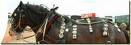 Horse Decorated With Brasses - A horse decorated with horse brasses, as were gypsy horses. Horse Decorated With Brasses - A horse decorated with horse brasses, as were gypsy horses.