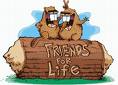 friends - friends image