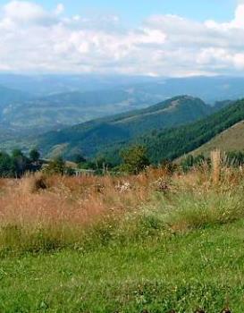 Mountains - A beautiful scenery.