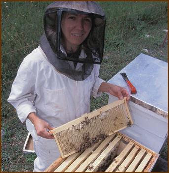 Apiculture - This woman sure is one brave apiculturist!
