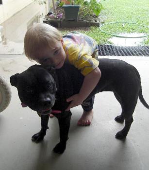 Marli and my son hanging out .. - My son loves our staffy .. 