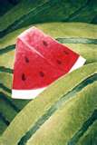 water melons beat the heat - water melons beat the heat.