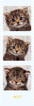 kitten - kitten image