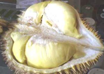  Durian is an expensive and exotic fruit from Asia - one-of-a-kind fruit in Southeast Asia. It reeks.