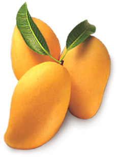 Mangoes - Mangoes are sweet.