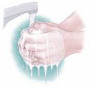 Wash Hands - I make sure to scrub between the fingers, back of my hand, fingers, wrist and of course the plam of my hand before I rinse.