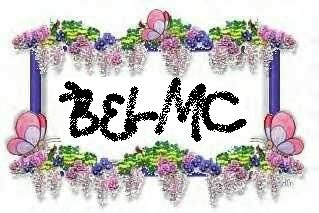BELMC&#039;s frame created by BiRd - This is a pic/avatar which was created by emc&#039;s BiRd, as a gift for me.