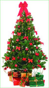 Christmas Tree - Merry Christmas
