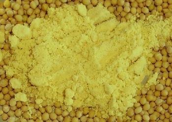 Forms of mustard - Mustard seeds and powder