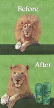 Rebonding Lion - Or is it just Shampoo? - Got this from your blog at http://funnyjokesworld.blogspot.com/
Man..That is funny!