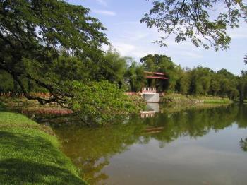 lake garden - The beautiful landscape of lake garden in my hometown.