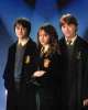 harry potter - harry potter with ron and hermione