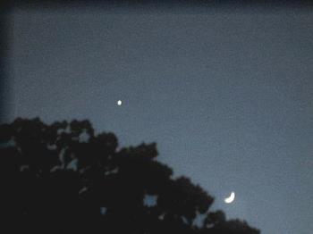 Venus & Moon - This was taken Monday or Sunday night. Blurry as I couldn't hold the camera still. Hahaha.