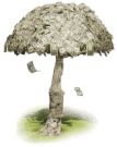 money tree - i wish