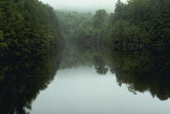 Beautiful Lake - have a boating with her in a beatiful lake and let her enjoy the view.