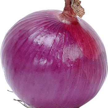 Onion - Yes it will make you warm.