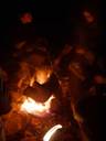 Campfire fun - roasting marshmallows over the open fire