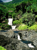 Maui&#039;s Road To Hana - Maui
Hawaii
Hana highway