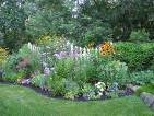 Garden - A cottage garden, in flower. Garden - A cottage garden, in flower.