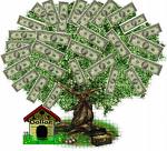 money - money growing on trees