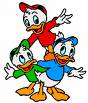 Huey, Dewey, and Louie - Donald Ducks nephews; Huey, Dewey, and Louie.