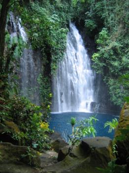 Tinago falls - The Tinago Falls is one of the main tourist attractions in Iligan, a city known as the City of Majestic Waterfalls. Tinago is a Filipino word meaning "hidden", the falls being hidden in a deep ravine. Trekking to the falls requires approximately 500 descending steps called the winding staircase. It is said that Tinago Falls is a sanctuary for weary souls seeking to commune with nature. The trip to the falls actually exposes you to a variety of wildlife. Today, the trail is refurbished into a wildlife park hosting different species of wild animals.
The falls is approximately 240-feet high, its very cold waters cascading beautifully into a deep and calm basin-like pool which appears like a blue-colored lagoon. Under the falls is a small cave where people can enter and listen to the rumbling waters. The foot of the falls is a very ideal place for swimming. The place also has man-made swimming pools for children. It is truly a majestic place that resounds an atmosphere of serenity, a perfect escape from the noisy metropolitan. Tinago falls - The Tinago Falls is one of the main tourist attractions in Iligan, a city known as the City of Majestic Waterfalls. Tinago is a Filipino word meaning "hidden", the falls being hidden in a deep ravine. Trekking to the falls requires approximately 500 descending steps called the winding staircase. It is said that Tinago Falls is a sanctuary for weary souls seeking to commune with nature. The trip to the falls actually exposes you to a variety of wildlife. Today, the trail is refurbished into a wildlife park hosting different species of wild animals.
The falls is approximately 240-feet high, its very cold waters cascading beautifully into a deep and calm basin-like pool which appears like a blue-colored lagoon. Under the falls is a small cave where people can enter and listen to the rumbling waters. The foot of the falls is a very ideal place for swimming. The place also has man-made swimming pools for children. It is truly a majestic place that resounds an atmosphere of serenity, a perfect escape from the noisy metropolitan.