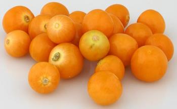 gooseberries - make a great pie gooseberries - make a great pie