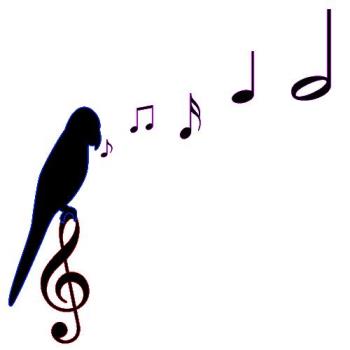 musical parrot - music notes and a parot