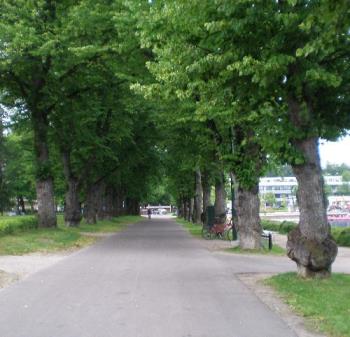 walk of life - from Lappeenranta harbour