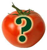 Tomato - Fruit or Vegetable - Botanically speaking, tomato is a fruit. Horticulturally speaking, it is a vegetable.