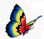 butterfly tattoo - colourful butterfly tattoo