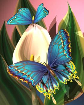 Butterfly - This is a butterfly that has blue, purple, and yellow.
I think that I is very pretty! :D