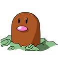 Diglett...there he is!! - Actually the more I look at the picture, the more he does look like a piece of poo