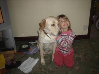 Labradors, great with children - Here is our rescue labrador Nero, looking after our youngest daughter, he is a great pet and just so cute
blessed be 