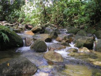 flowing stream - I love and enjoy sitting on the top of the rock and shaking my feet in the cool flowing stream water. 